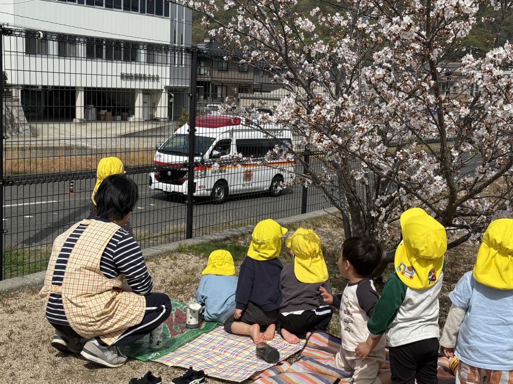 その時に、救急車が通り
桜よりもおやつ、おやつよりも救急車・・・
救急車が一番なクマ組さんでした🚙