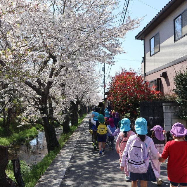 初めての散歩🗺️♪　＊3歳児＊