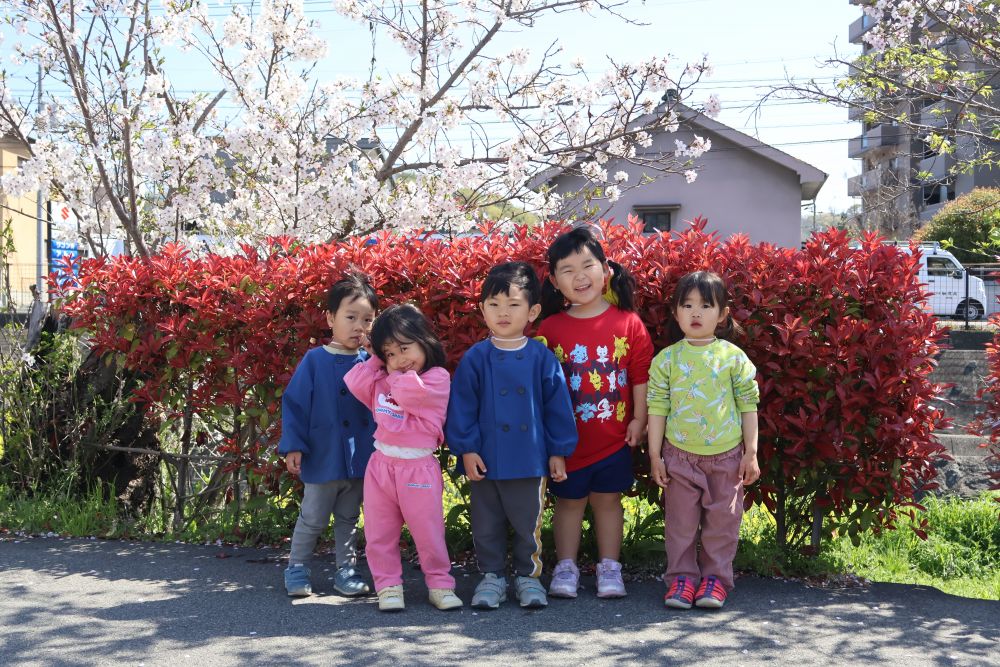 桜土手はピンクでいっぱい！🌸♡
地面にもチラホラ・・・

「桜ゲット！」 「あ！顔に振ってきた！」
「なんか匂いする・・・」

五感で春を楽しむリス組さんでした🪄