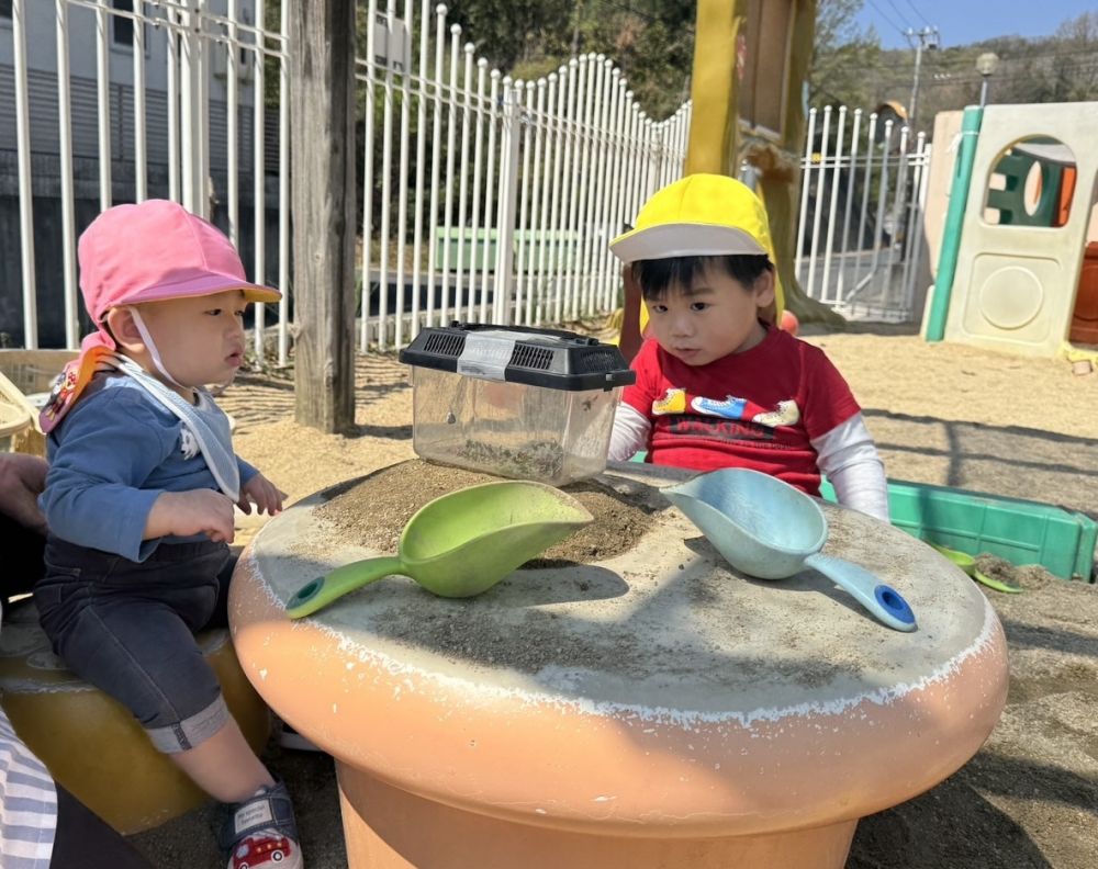 クマ組のお兄ちゃんと虫の観察中･･･


これからいっぱい遊んで
楽しい思い出つくろうね！！