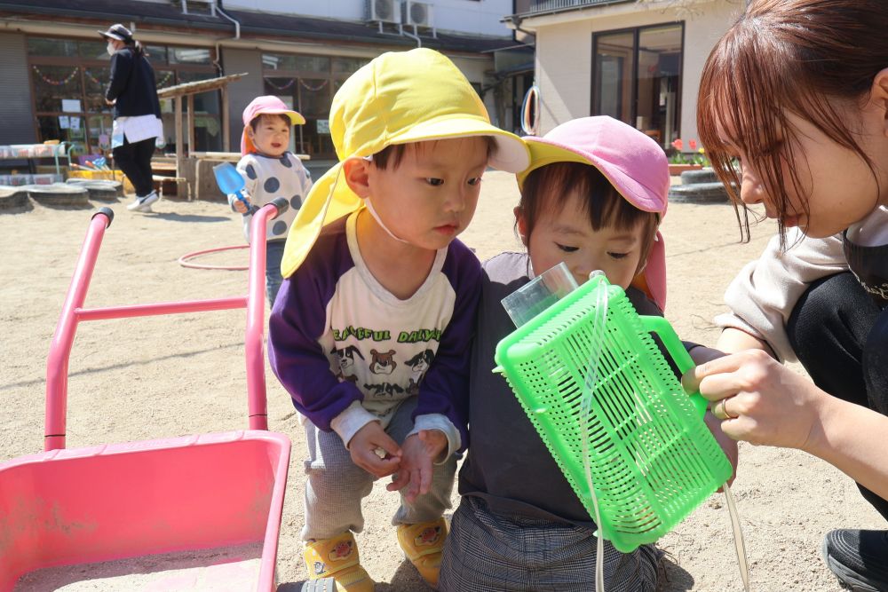 
“これはなにかな？”
“あっちは何があるんだろう”
好きなことを見つけたり
思い思いの場所に行ってみたりと
探索活動を楽しむ子どもたち🌷


何がいるのかな？と虫かごを除くと
中にはてんとう虫が🐞
興味深々でじーっとくぎづけになるTくん
