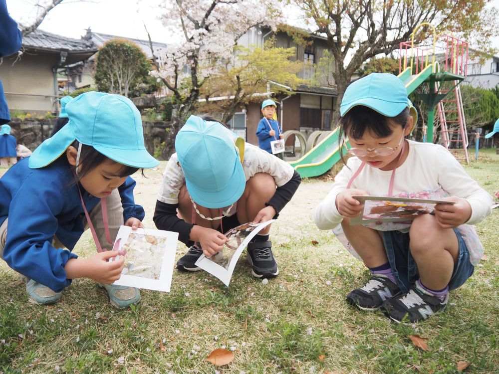 テープを貼ったお散歩バッグを持って
西則末公園と神社に
春みつけに行きました♪


春ってどんな草花があった～？
「さくら！！」　「たんぽぽ！！」　「わたげ！！」
さあ、何があるかな😊

「桜みーつけた！！！」　「かわいい♡」
可愛い草花を一つ一つ相談しながら
つけている女の子✨
