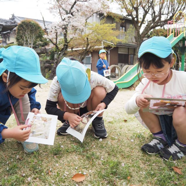 お花でアート🌸①　＊５歳児＊　