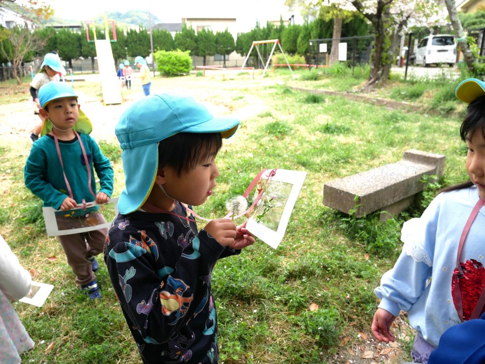 「え！！カラスノエンドウって春なん？」
「よし、みーつけた！！」　とRくん
わたげを見つけて　「ふ～っ♡」
