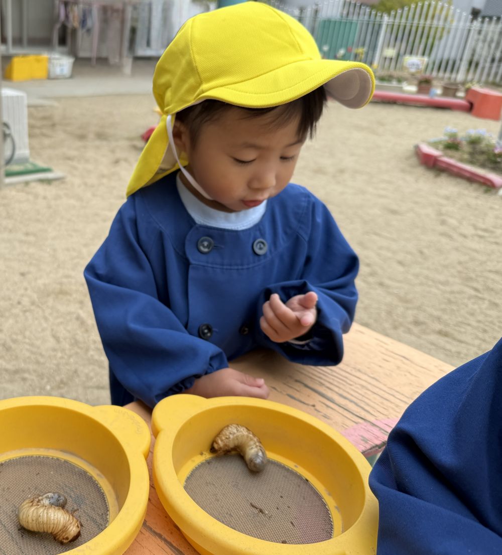 Tくんは、
指先でツンツン…と、触れて、
むにゅっとした感触に、
不思議そうな表情…。