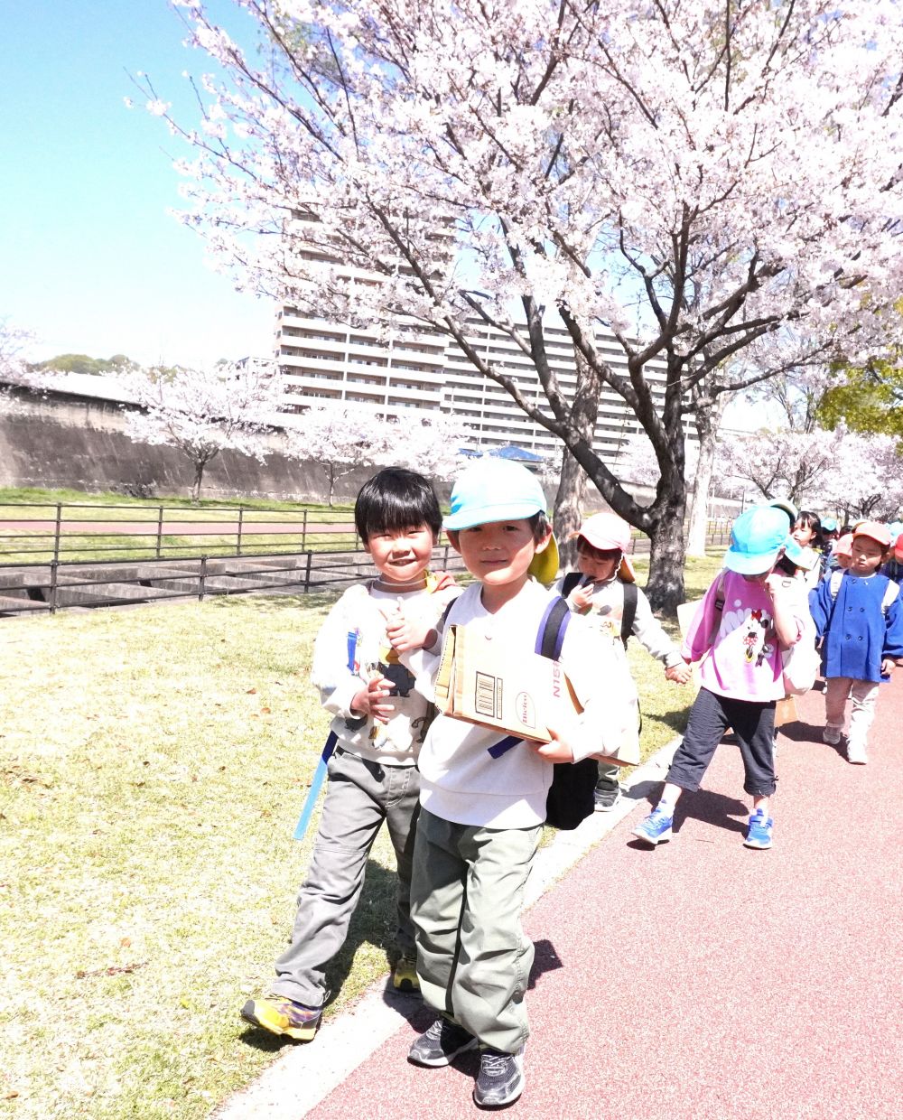 ポカポカ陽気で散歩日和
桜の花も満開になった黒崎水路に散歩に行ってきました


「今日はどこにお散歩行くの？」
「黒崎水路だよ」
「じゃあ芝すべりやりたい！」
段ボールを持ってやる気満々のキリン組さん
「何で段ボール持っとるん？」
「何するん？」
興味津々のゾウ組さん
子ども達の会話にも花が咲きます♪

