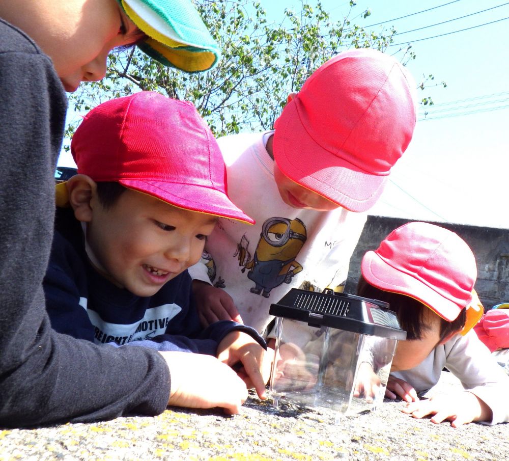 「ダンゴムシおった！」
「もう一匹おるよ！」
「何食べるかね？」
「アブラムシじゃない？」
「草よー！」
悩みながらみんなで意見を出し合うH君たち

帰ったら図鑑で調べようね♪



