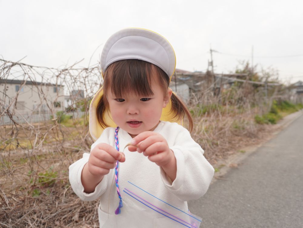 「ふわふわ～」
ねこじゃらしを見つけたYちゃん♡
触って感触を楽しみました♡