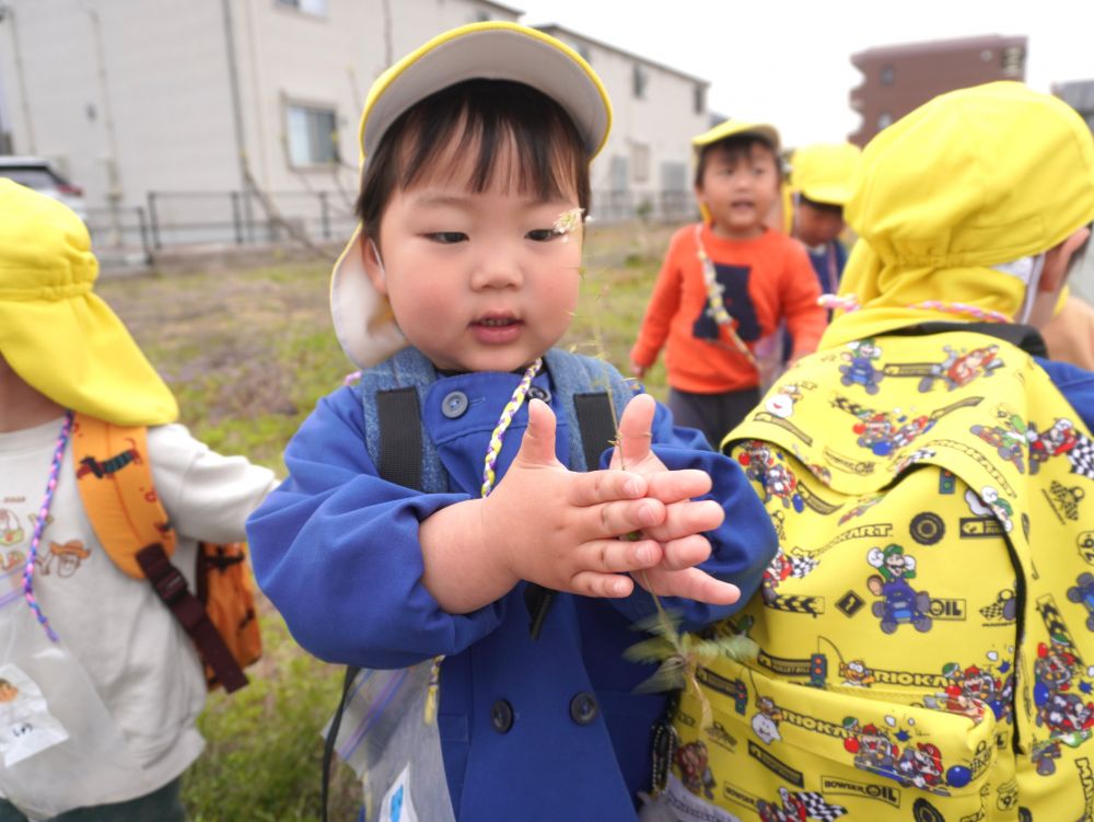 「こうやったら音が鳴るんだよ～」
「やってみたい！」
「チロチロ～って聞こえた！」
興味がいっぱいなSくん♡
ナズナの遊び方を教えてもらってやってみた♡