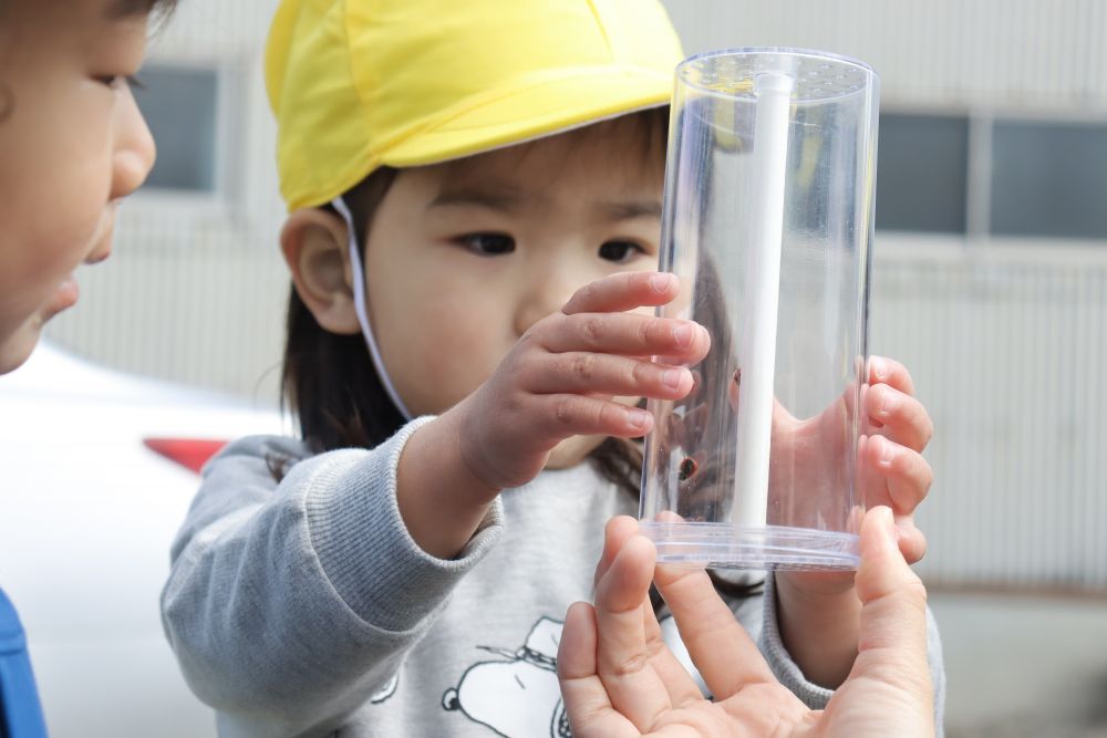 テントウムシ見つけたよ🐞