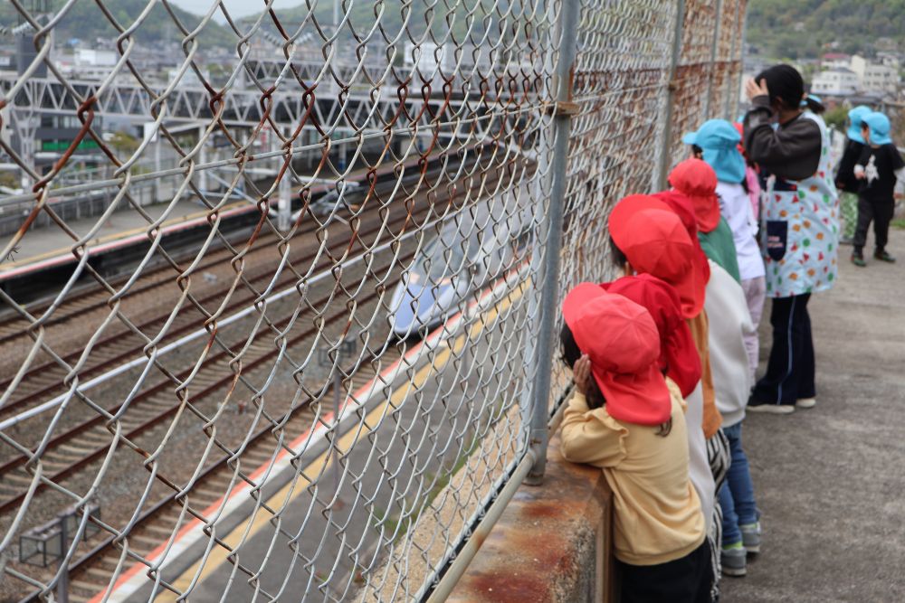 まだかな～まだかな～
とみんなで並んで待っていると
大きな音が聞こえて…
ビューン！　と新幹線が通り
「わあ～！」
「はや～い！」
と大興奮のゾウ組さん！

「あれは500系だったわ！」
と中には詳しい友達も♡

「あの新幹線なんか青い！　ワンピースの新幹線だ🚅」
なんと偶然にも
ワンピースの新幹線を見ることができました✨

発車する新幹線に
”ばいばい～！”と手を振ってお見送り♡
