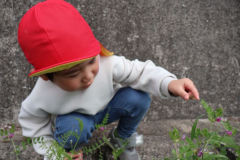 新幹線だけでなく
虫探しも楽しんだゾウ組さん

何かいるかな～
と草をじっくり観察すると…
「いた～！」
「てんとうむしいた！」　「こっちにもいた～！」
てんとう虫やその幼虫を発見👀

新幹線も見て、春の自然とも触れ合って
しっかり歩いたゾウ組さん

帰りはちょっぴりみんな無口だったけど・・・（笑）
帰って給食をモリモリ食べて
少し遊んでぐっすりお昼寝でパワー全開♡

生活リズムを大切にしながら
日々をしっかり楽しんでいきたいと思います！
