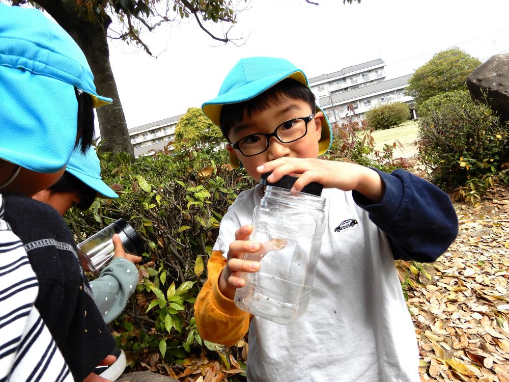 「ハサミムシ見つけた！」
「小さいハサミムシよ」
逃がさないように飼育ケースに入れると
「見て見てこの中」
「ほらいるでしょ♪」
嬉しそうに捕まえたことを教えてくれたRくん♡
近くにいた友達にも知らせて一緒に観察する姿がみられました♪