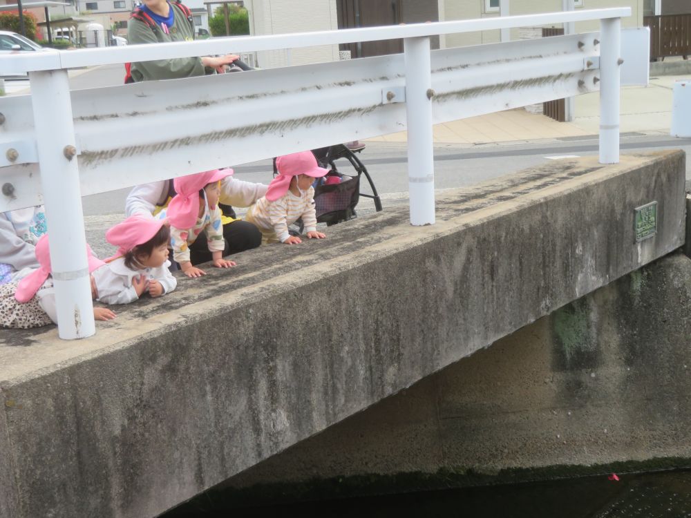 川に何かいるかな～？と水面を覗いてみているよ～
「わー！！」と目をキラキラさせてみてるRちゃん♡


近くで工事をしていたのでトラックやショベルカーも
見つけて嬉しそうに見ているFくんとYちゃん♡

色々な発見楽しいね♪