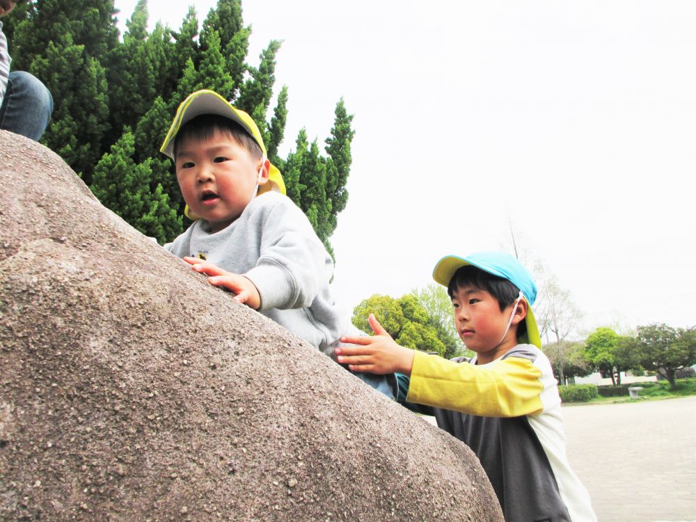 キリン組さんと一緒におさんぽへ！
お兄ちゃんお姉ちゃんと一緒に過ごす中で「やってみたい」
という気持ちがたくさん生まれてきました！



お兄ちゃんがやってることぼくもやってみたい！！
と岩に登ってみるI君　岩に登れたのは良いけど降りるのが難しい・・・
「むずかしい・・」
と困っていると優しいお兄ちゃんがそっと手を添えて支えてくれました♡
