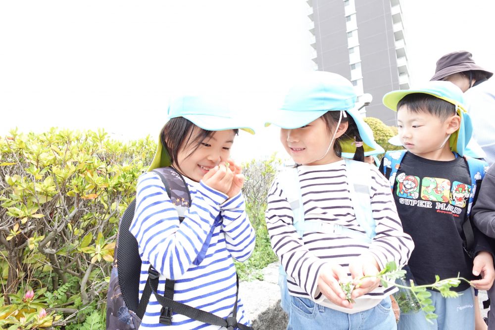 春は、なんだかおでかけしたくなる♡
春を探しにお散歩へGO！！



足元をよく見ると、
春の草花がたくさん♪
のんびり足を止めながら
春を感じて楽しみました

よもぎを発見！！
手の中でもみもみして
匂ってみると、、、、
「わぁ、すごい匂い」
「くさいかも、、、、」
とKちゃん
「私は好きな匂い♡」
とMちゃん
苦手の子もいれば、
好きな子もいて
感じ方は人それぞれ♡