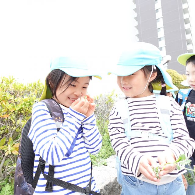 ＊　５歳児　春散歩　＊