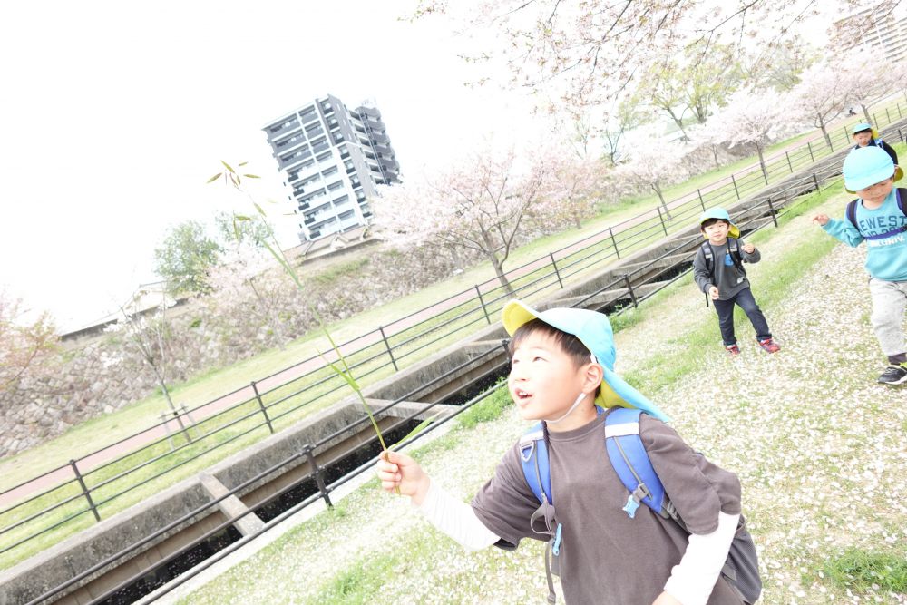 「この草なんじゃろ？」
気になった草を手に取ったKくん
「見て見て！草が踊っとるみたい！！
　パラパラって音もする！！
　おもしろい草じゃ～♪」
一つの草でこんなに感じることが
できるなんて！！
子どもの感性はおもしろいです♡