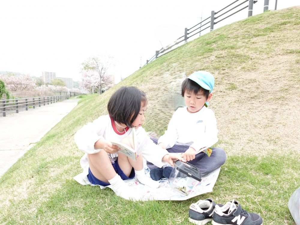 シートを広げて、図鑑を見ながら
捕まえた虫の観察！！
「この虫は、なんじゃろう？」
「これは？」
2人で探していました♡