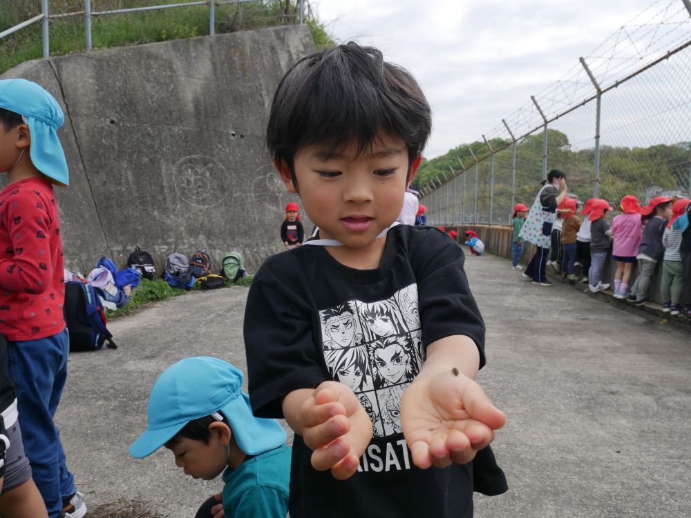 新幹線が来るまでの合間は
もちろん虫探し🦋
バッタにあり🐜ちょうちょに
テントウムシ🐞ダンゴムシも
たくさん見つけたよ♪
