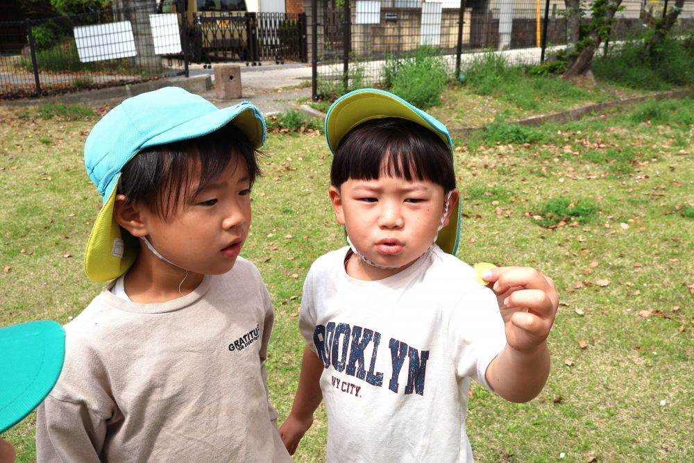 今日は西則末公園にお散歩🍀
早速虫探しに走り出すみんな

「チョウチョ捕まえたい！！」
と追いかけるAくん
下の葉っぱに止まった瞬間に
そ～っと近づきゲット♡
「網ないのにすげえ！！」　と嬉しそう😊
