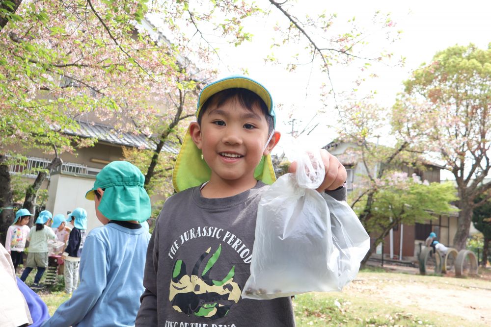 「先生この中見てみて♡」　とAくん
「あ！！ダンゴムシ！！あ！！テントウムシ！！」
「こんなにいっぱいおる！！！」
遊具よりも虫探しに夢中♡
