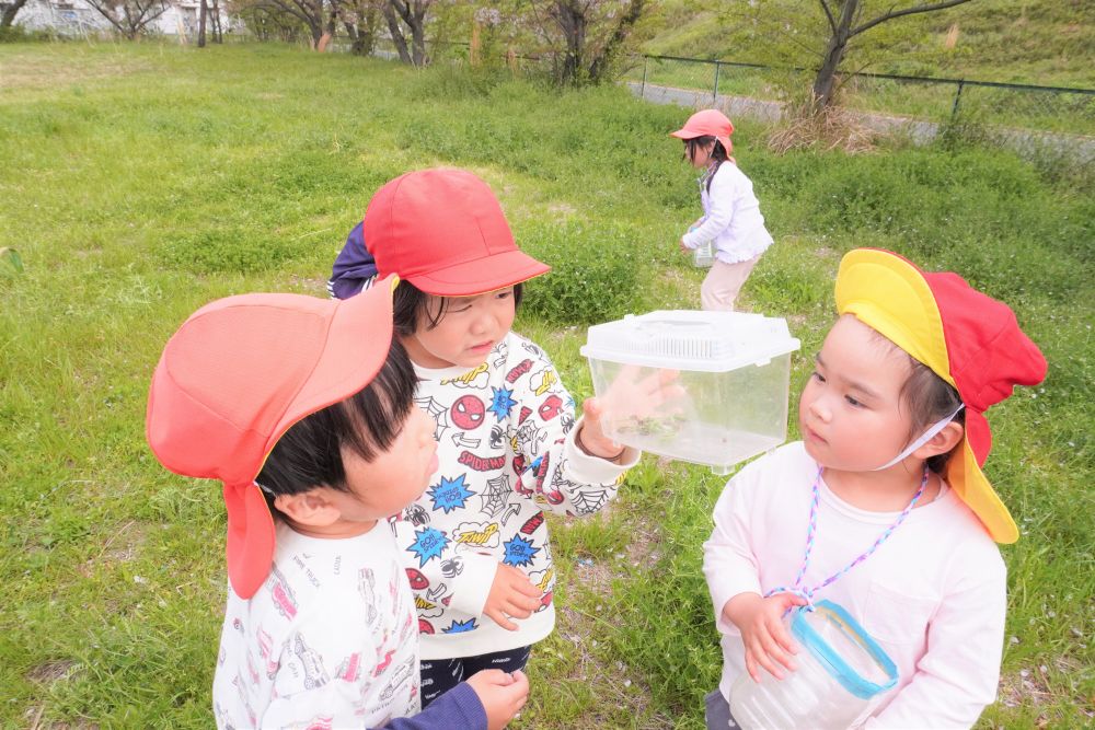 「くっついてる！」
「けんかしてるのかな～」
「遊んでるんじゃない？」

友達とてんとうむしの動きを観察して
てんとうむしの世界を想像していました♡