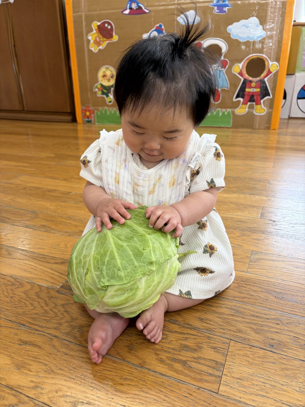 ウサギ組さんは初めての食育の日🐰
今月の食育は“春キャベツ🥬”
給食の先生が大きなキャベツを用意してくれたよ😊

Kちゃんは手を伸ばして嬉しそうにキャベツを触ったり
転がしてみたりしていたよ♪