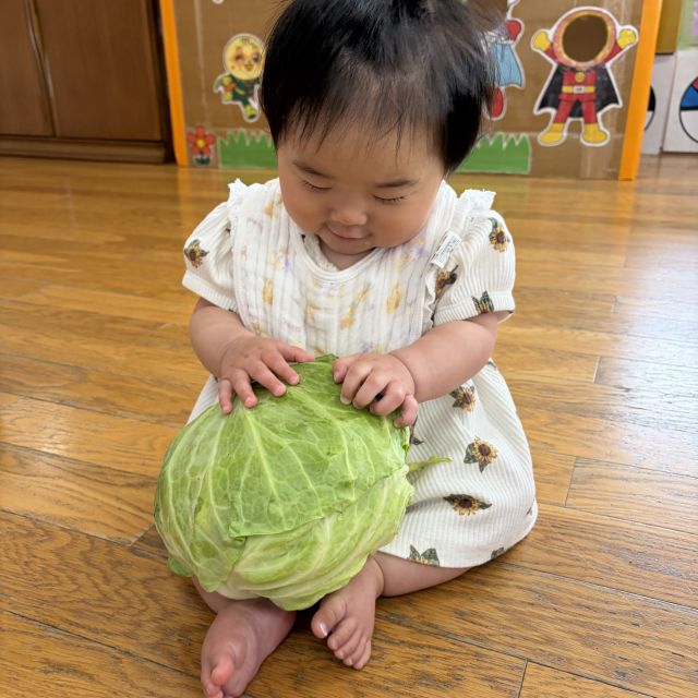 食育の日　　～0歳児　ウサギ組～