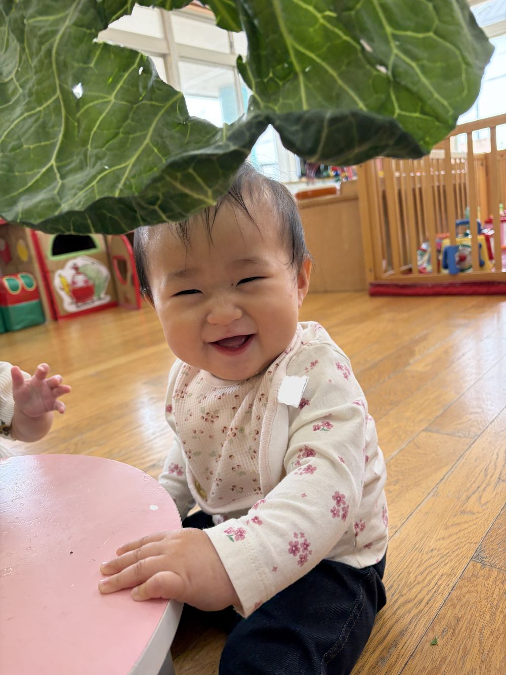 Hちゃんはキャベツの葉っぱの中から
”いない、いない、、、ばぁ😲”
ってすると、とっても喜んでいましたよ✨

大きなキャベツ、冷たくて気持ちよかったね😊