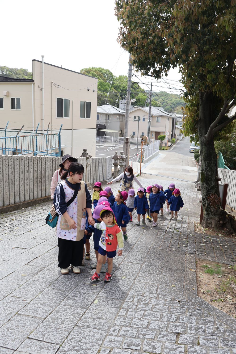 リス組さん単独で散歩に👣♩チャレンジ！！
今日は散歩バックを持って神社に行きました！
初めて歩く道、見覚えのある道、
どんどん進みたい！
足も気持ちも前へ前へ・・・

道中にも 「あ！たんぽぽ！」 「ここにも！」と
春散歩を満喫するリス組さん🎼✨

神社の中までもう少し…
なにを見つけることができるかな？👀✿
