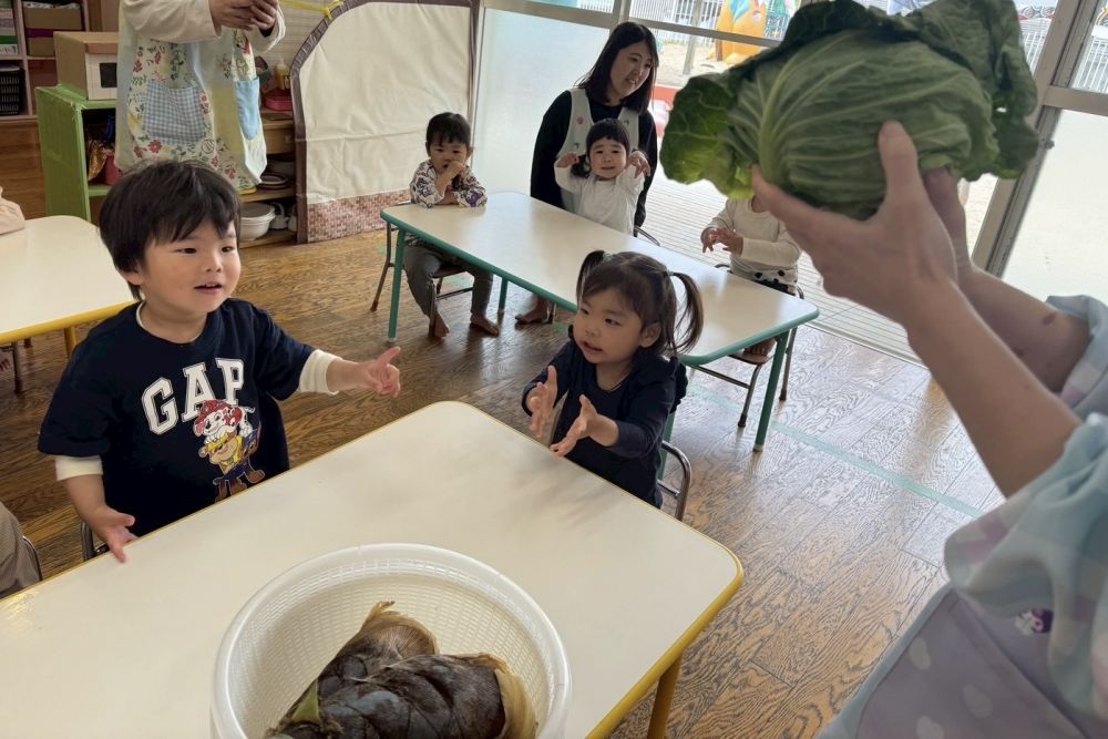 今月の食育は、旬の食材…
春キャベツとたけのこを
給食の先生が持って来てくれました♪

A君は、「きゃべつだ！」と
嬉しそうに指を指していました！

