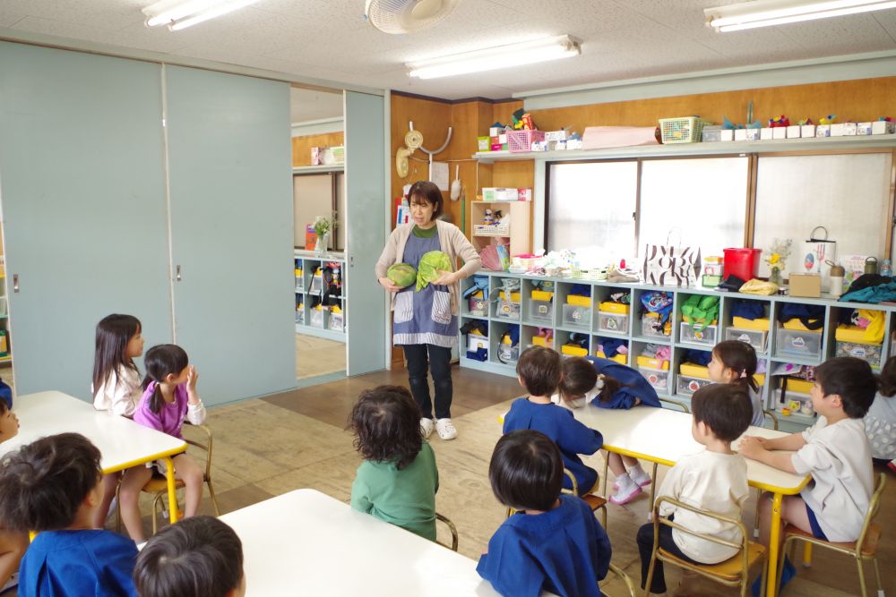 今日は食育の日！
春の食材に触れました☆彡

「これ、なんだ？」

「レタス―！」「キャベツー！」

とそれぞれ口にするゾウ組さん
緑色の大きな野菜を連想していました！

２つのキャベツ
でも何かちょっと違うキャベツ
その違いは何だろう ・ ・ ・ 

目で見て、触ってみて
匂いを嗅いで 、音を聞いて・ ・
 五感を使って違いを感じてみよう♡
