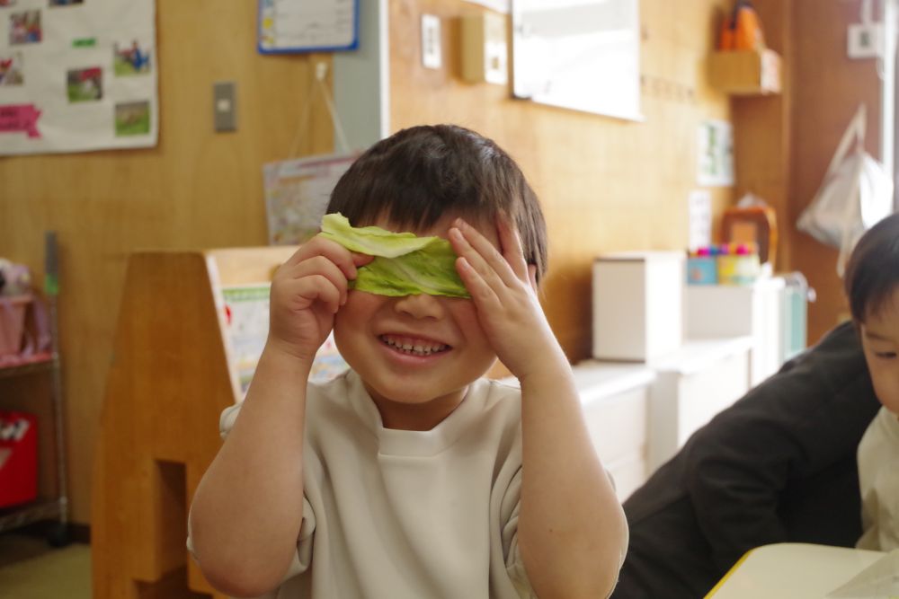 いつもみんなが食べているキャベツはどうかな・・・！？
ちぎってみると、春キャベツに比べて少しかたい葉っぱでした♪

「どこにいるでしょう？」とMくん
キャベツでかくれんぼという
かわいい遊び心♡（笑）


今日の給食はお好み焼き♡
「キャベツどこにあるんだろう？」
と探しながら食べるゾウ組さん
おかわりまでペロリでした♡

季節の食材や身近な食材に触れ、
発見を通して食事を楽しみ
興味へとつなげていきたいと思います！

