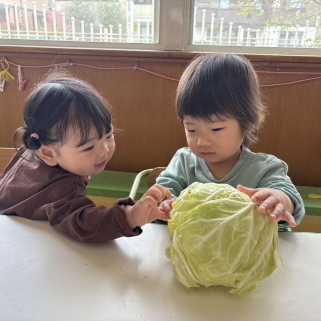 食育の日 　～1歳児　ヒヨコ組～