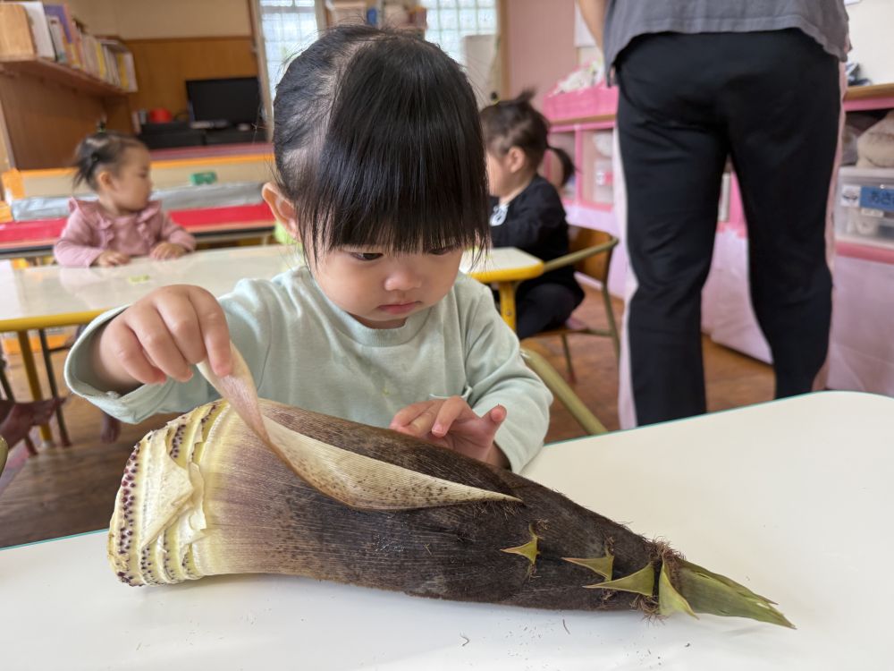 タケノコの皮を1枚むくと･･･
あれ？まだ皮がある！

実が出てくるまで皮を一生懸命むいてました😆