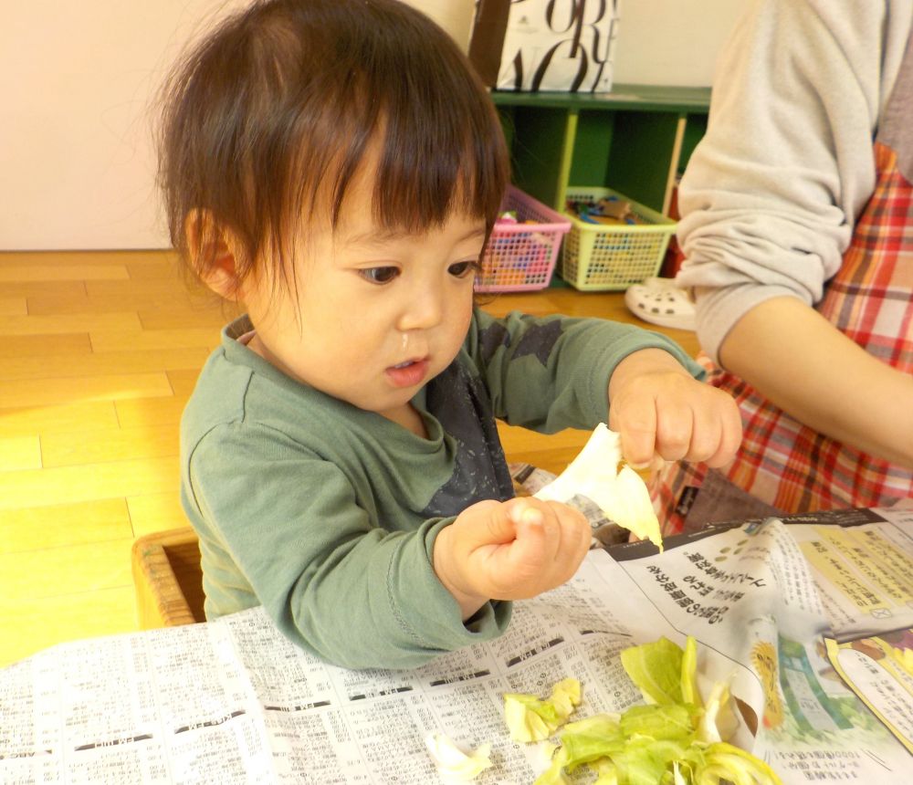 今日は食育の日でした。
４月は【旬の食材に触れる】をテーマに活動しました。

クマ組・ヒヨコ組さん
♪きゃべつ～のなかか～ら、あおむしたよ～～～♪
きゃべつの絵本が大好きで給食先生がきゃべつを見せるとみんな

「きゃべつ～～」
と大喜び☆☆☆