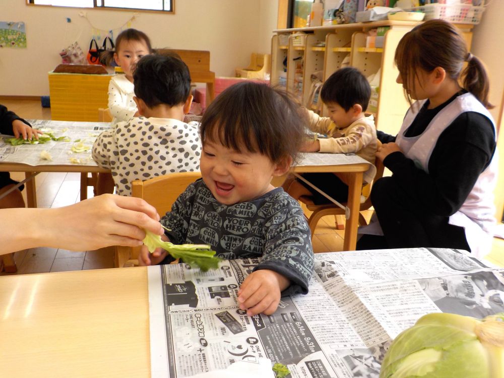 なんだろ～・・・
不安そうに触って確認

最初は触りたくなかったけど、きゃべつをチョンチョンと近づけると
にこっと笑顔に♡