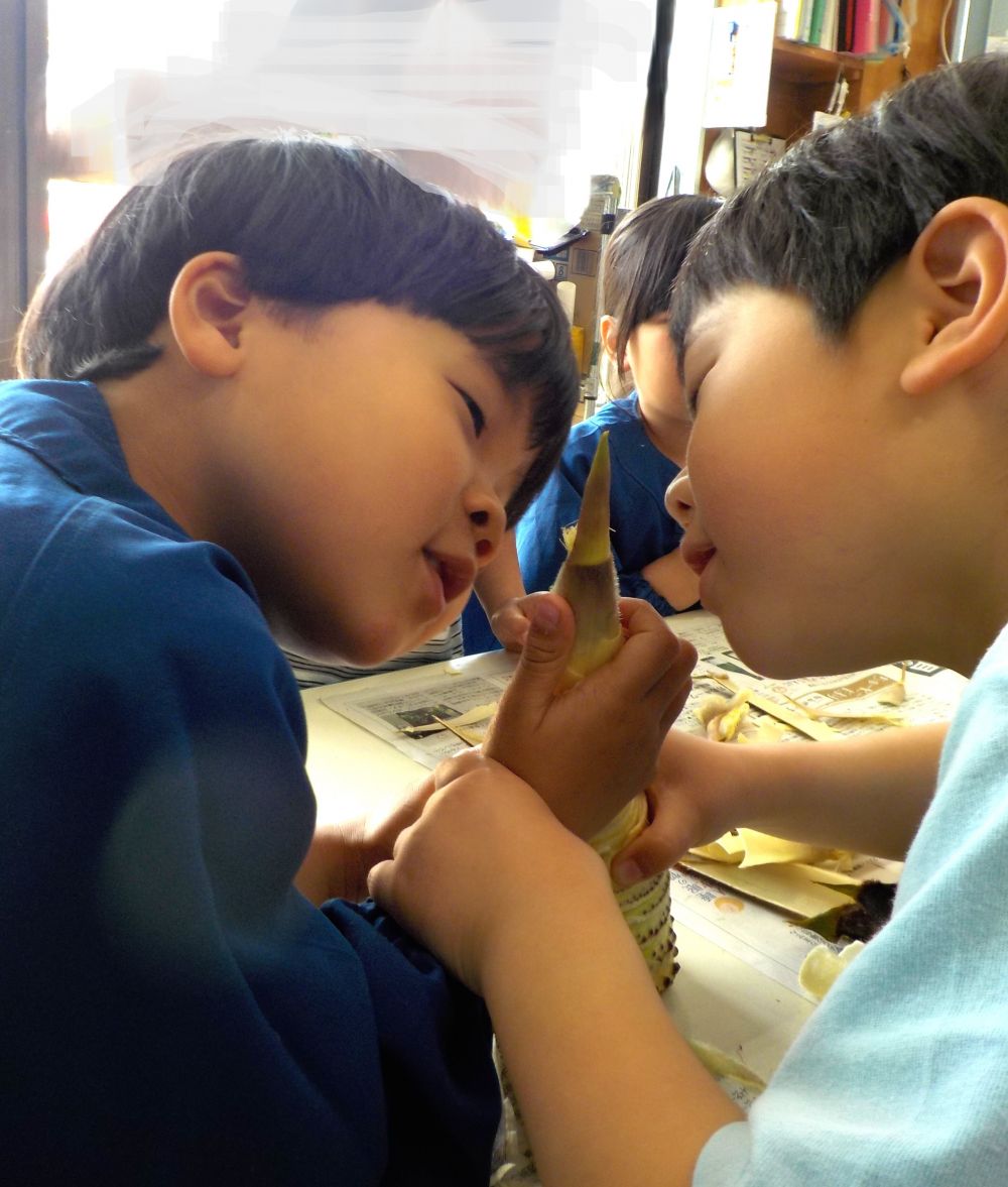 「なんか、皮が船みた～い」
手指を使って皮をむきます。

いっぱいむいてもまだたけのこ・・・（笑）

どんな匂いがするかな？

「うーん・・・よくわからん」
（笑）
給食先生が美味しくお料理するよー