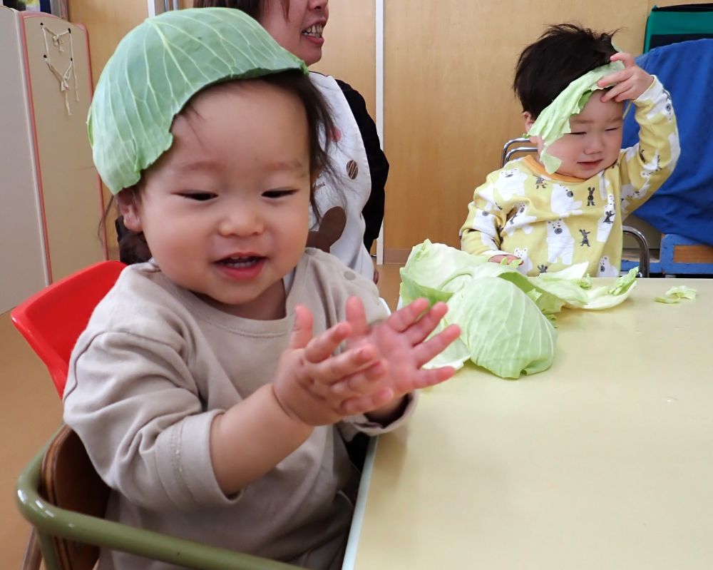 冬キャベツと春キャベツをさわったよ♪

ちぎったり、かぶったり💗