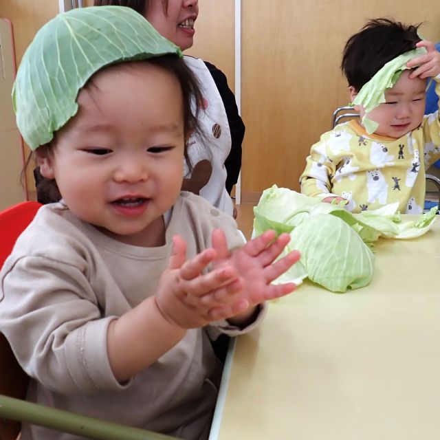 食育の日　～キャベツ～