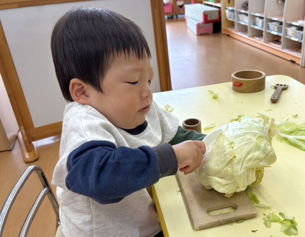 大きなキャベツ、切れるかな？
　　何ができるか、お楽しみ🧑‍🍳