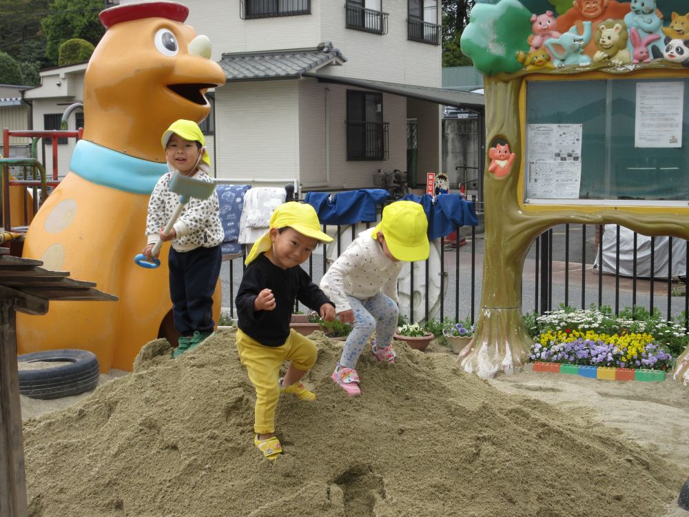 園庭にでると
「わあー」と走って砂の山に一番乗り！
出来たての砂山はふっかふか♡
砂にサクッと小さな足を取られながらも
「よいしょ、よいしょ」と登ったり、下りたり
山の頂上に立つ姿ちょっぴり腰がひけてはいましたが、誇らしげな笑顔
また、長いスコップを持ってきて、砂をすくっては
みてみて〜沢山すくったよと誇らしげにアピール