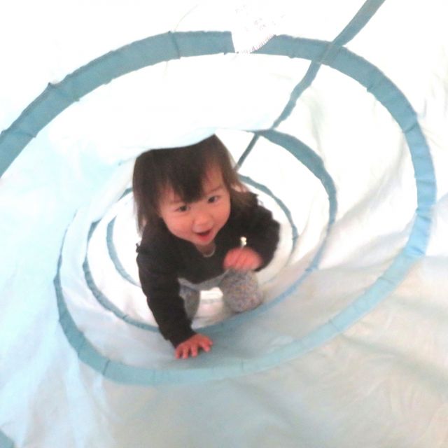 ＊　１歳児　お弁当の日　＊
