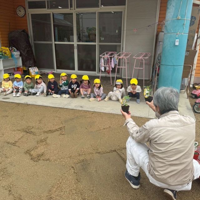 夏野菜植えたよ　〜2歳児　 クマ組〜