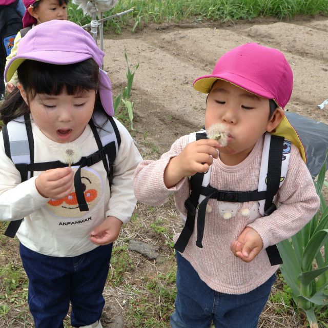 ＊　３歳児　見つけて！遊んで！春の自然　＊