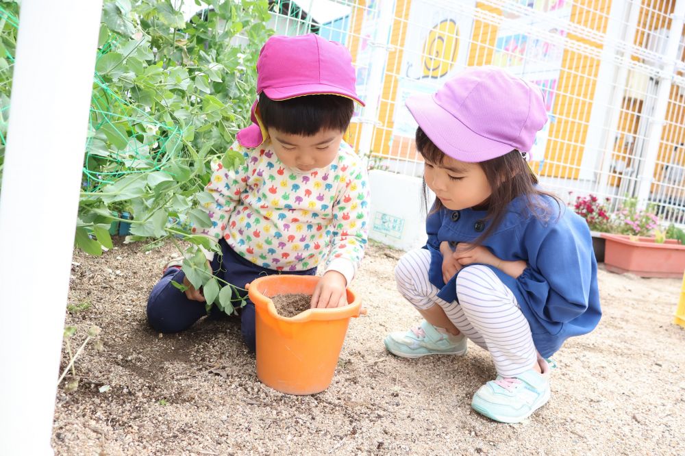 たくさんの虫と出会える春♡
見つけて、捕まえて、観察して…
夢中になっています！



プランターの下で見つけたダンゴムシを
バケツにどんどん集めるSくん
　「どこに隠れとるの？」
じーっと見つめるRちゃんに居場所を
そっと教えてあげる♡