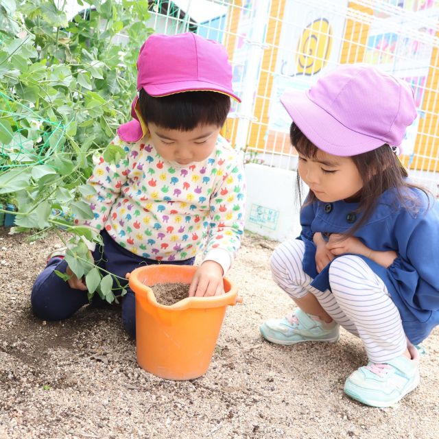 ＊　３歳児　虫っておもしろい！　＊