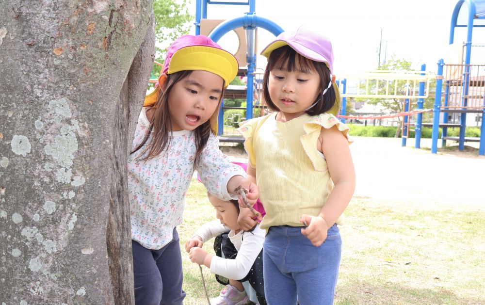 　「なにこれ！？」
　「木から落ちちゃうよ！？」
カメムシを見つけて手では触らず、
じーっと見つめたり、木の枝に乗せてみたり…

発見して嬉しい気持ちや
『なんだろうと』不思議に思う気持ち
いろいろな気持ちを大切にしながら
これからも自然と触れ合う機会を大切にしていきたいです♡