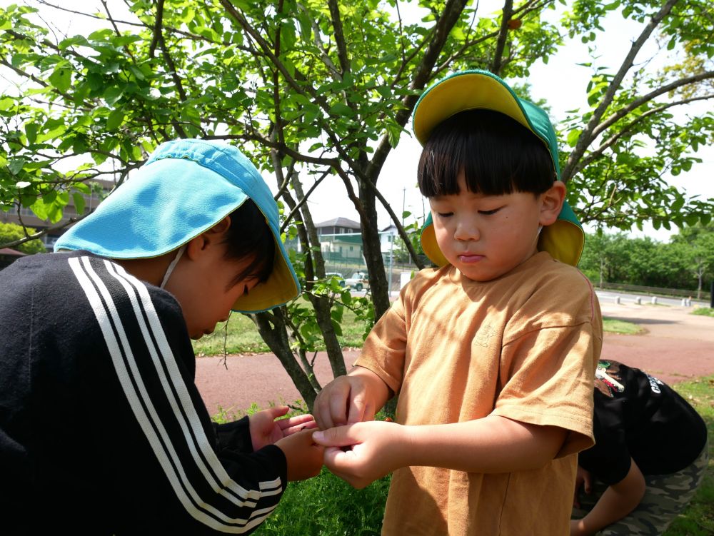 そして…やっぱり虫を見つけると
いてもたってもいられない！！
芝生を走り虫を追いかけ夢中な男の子♡
今しかできないことを思う存分楽しんで欲しいです♪